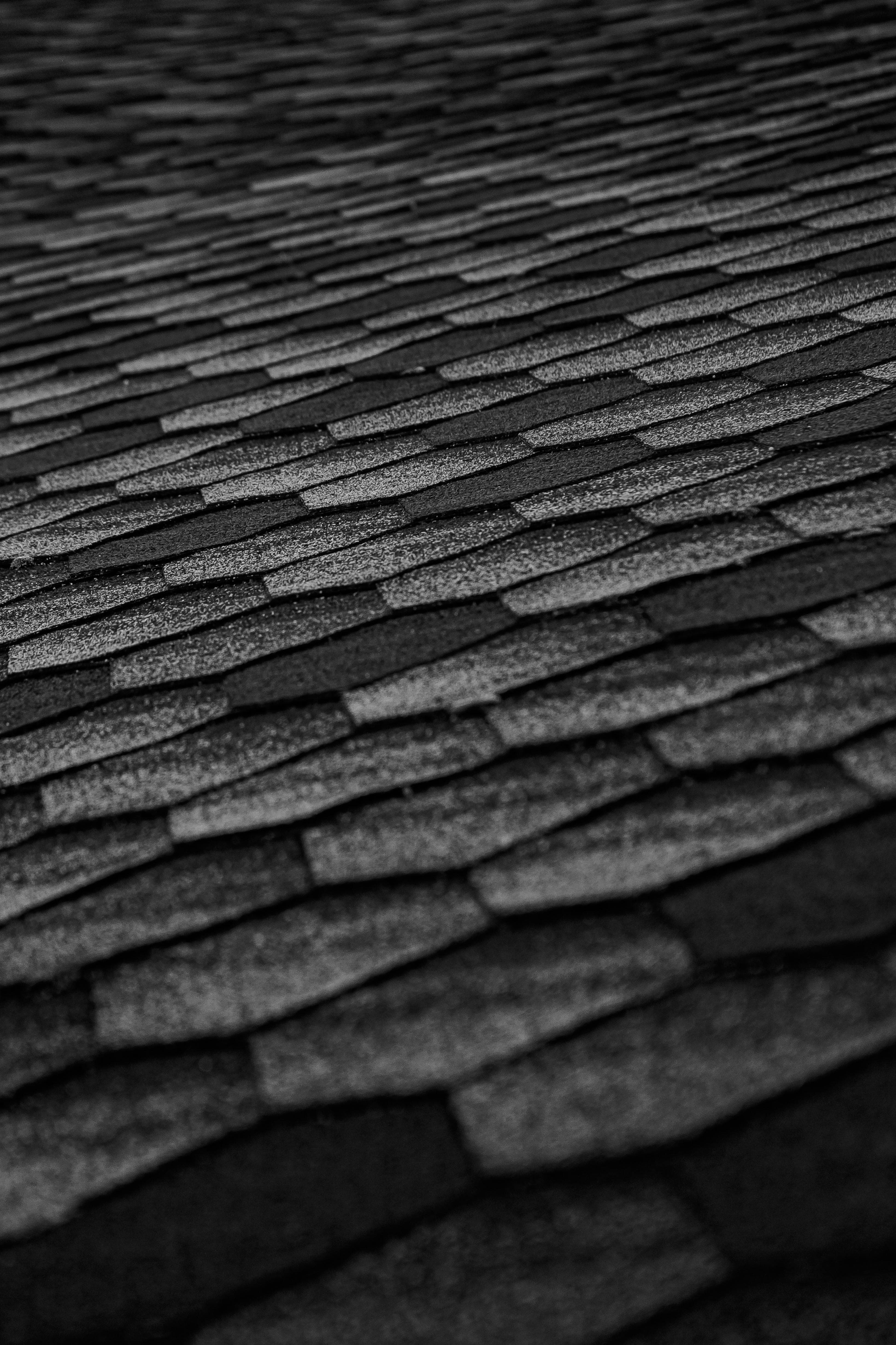 Northern Colorado Roofing